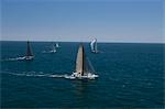Quatre bateaux de plaisance concurrence dans l'épreuve par équipe voile, Californie