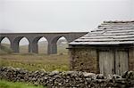 Old shed and viaduct, Yorkshire Dales, Yorkshire, England