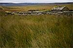 Old abandoned cottage in Yorkshire Dales, Yorkshire, England