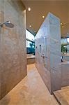 Walk-in shower of Palm Springs home