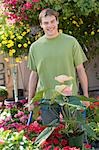 Young man pushing wheelbarrow with plants, smiling
