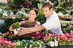 Young couple choosing potted flowers in garden centre