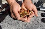 Mans hands holding bullets by guns, close-up