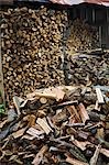 Firewood and wood shed in Latvia