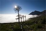 Vue sur le pic de diables au pied de la montagne de la Table