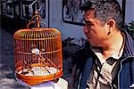 A man browses through the many birds in the Yuen Po Street Bird Garden in Mong Kok district,Hong Kong