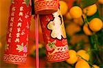 China,Beijing. Chinese New Year Spring Festival - decorations hung on an orange tree for good luck and fortune.