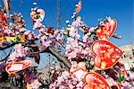 China,Beijing. Chinese New Year Spring Festival Valentine love messages on a tree at Chaoyang Park Fair