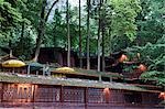 China,Sichuan Province,Qingcheng Mountain Unesco World Heritage site temple building.