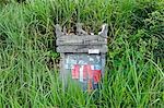 China,Guangxi Province,Longsheng Dragon's Backbone Rice Terraces near Guilin. A grave marker in a field