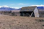 Old barn,weathered & warped seen from the Carretera Austral,near Coyhaique