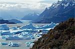 Icebergs se rassemblent à l'extrémité sud du Lago Grey, soufflé par le vent