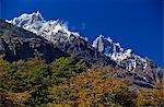 Autumn foliage in front of the corniced summit of Paine Grande