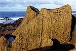 La forme en position couchée de moai finement ciselé ou tête de Pierre, au Ahu Makihi un sur la côte sud, près de Rano Raraku. L'eau s'est accumulées dans le œil de l'île.