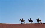 Chili, désert d'Atacama. Promenades à cheval dans le désert d'Atacama.