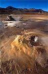 Chile,Atacama Desert. El Tatio Geysers,at 14,200 ft (4300 m),these are the highest geysers in the world.