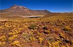 Lake Miscante,San Pedro de Atacama,Region II,Chile