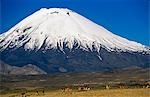 Chili, Nevados de Payachata. Volcan Parinacota (6, 348 m) surplombant le lac Chungara dans le Parc National de Lauca.