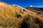 Chile, Nevados de Payachata. Sanddünen in der Nähe der Küste des Lake Chungara im Lauca Nationalpark.