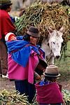 Femme portant un bébé dans une écharpe dans un marché traditionnel, Zalaron, Province de Chimborazo, Équateur