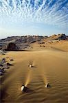 Vue des falaises et de dunes balayées par le vent depuis l'escarpement sur l'approche à l'Oasis de Dakhla dans le désert occidental, en Égypte