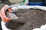 Peppercorns for sale in the Souq al-Attarin in Islamic Cairo,Egypt