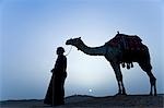 A bedouin leads his camel along the top a dune at sunset,Giza,Egypt .