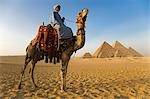 A camel driver stands in front of the pyramids at Giza,Egypt .