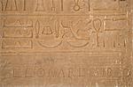 Hiéroglyphes sur les murs de la Ramesséum, Luxor, Égypte