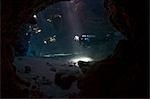 Egypt,Red Sea. A Diver explores the caves at St. John's Reef in the Egyptian Red Sea