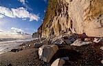 Chalk cliffs along the dramatic coastal landscape at Newhaven. The soft chalk that makes up the cliffs along this coast erodes fast,and blocks of fallen chalk can be seen in the foreground.