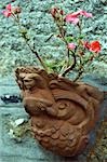 A terracotta flower pot cast in the shape of a mermaid adorns a fisherman's cottage in Mousehole,Cornwall,England