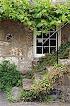 Old stone steps lead up to a traditional cottage in Mousehole,Cornwall,England