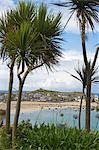 Une vue sur la baie de l'ancienne pêche port de St Ives, Angleterre