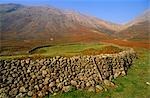 Angleterre, Cumbria, Lake District. Mur de pierres sèches de terrain dans la vallée de Eskdale.