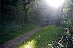 England,Somerset,Exmoor. Walking through the ancient woodland flanking the side of Exmoor towards Dunkery Beacon