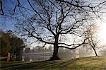 England, Dorset, Thorncombe. Forde Abbey ist Teil der Grenze zwischen Dorset und Somerset und seine elegante ehemalige Zisterzienser-Abtei und seine 30 Hektar Award preisgekrönten Gärten befindet sich in einer Area of Outstanding Natural Beauty machen es zu einem der führenden touristischen Orte West Dorset. Hier ist der große Teich von 'Beech House' am Frühlingsmorgen übersehen.