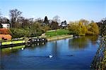 England,Oxfordshire Wallingford. Two barges moored at Wallingford on the River Thames.