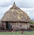 A homestead of the Arsi-Oromo people west of Aje. The old pot placed over the centre pole of the house is a common roof decoration,and keeps out rain. Small bunches of Teff,a small-grained cereal,are being dried on the thatch.Teff is grown extensively in Ethiopia and is used to make injera,a fermented,bread-type pancake,which is the country's national dish.