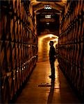 The foreman of works inspects barrels of Rioja wine in the underground cellars at Muga winery