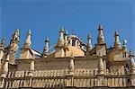 The roof of Seville's cathedral is a sea of Gothic spires.