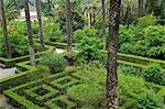 Espagne, Andalousie, Séville. Jardins à la française du Palais de l'Alcazar de Séville incorporent des formes géométriques, des palmiers, des arbres fruitiers et des arbustes à fleurs.