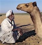 A Nubian man and his camel at an oasis in the Nubian Desert north of Old Dongola.