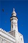 Pigeons flying over the Umayyad Mosque,Damascus,Syria