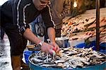 Le marché aux poissons de Karakoy, Istanbul, Turquie