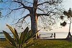 East Africa,Tanzania,Zanzibar. Strolling along the beach at Menai Bay Beach Bungalows,Unguja Ukuu.