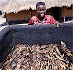 Small fish caught in Lake Albert are hot-smoked before being transported to towns and trading centres elsewhere in the country.