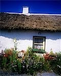 Flower bed in front of a cottage, Kilmore West, Dublin, Republic Of Ireland