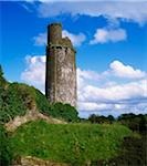 Round Towers, Tower At Ballyfin, Co Laois