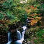 Torc Waterfall, Ireland,Co Kerry